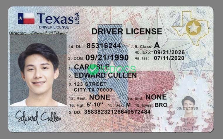 USA Texas driver's license