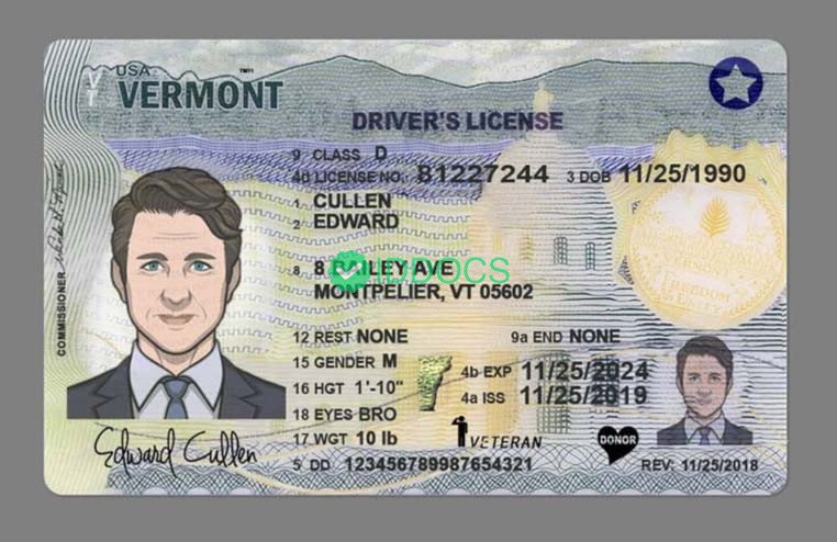 USA Vermont driver's license