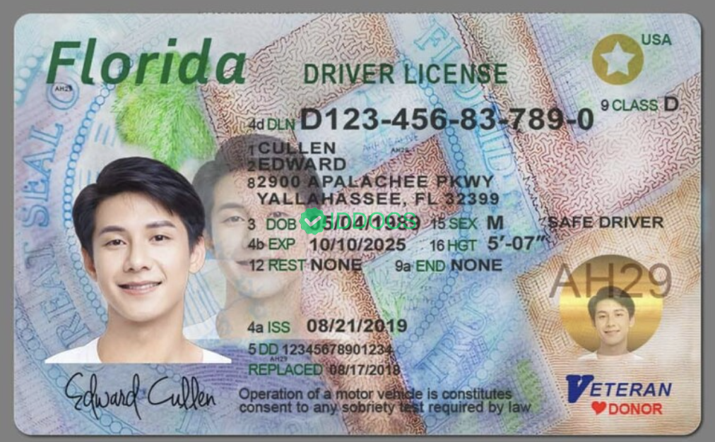 USA Florida driver's license