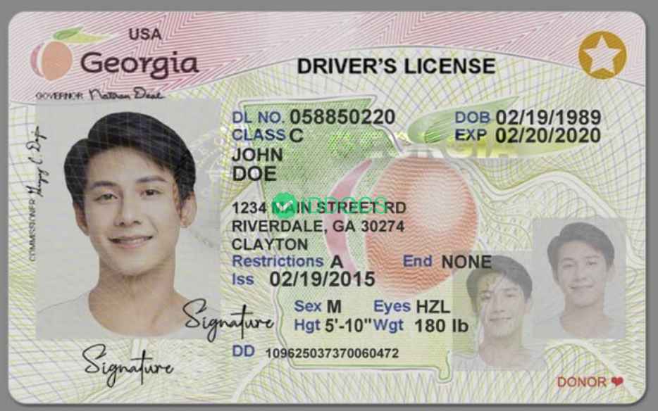 USA/America Georgia driver's license