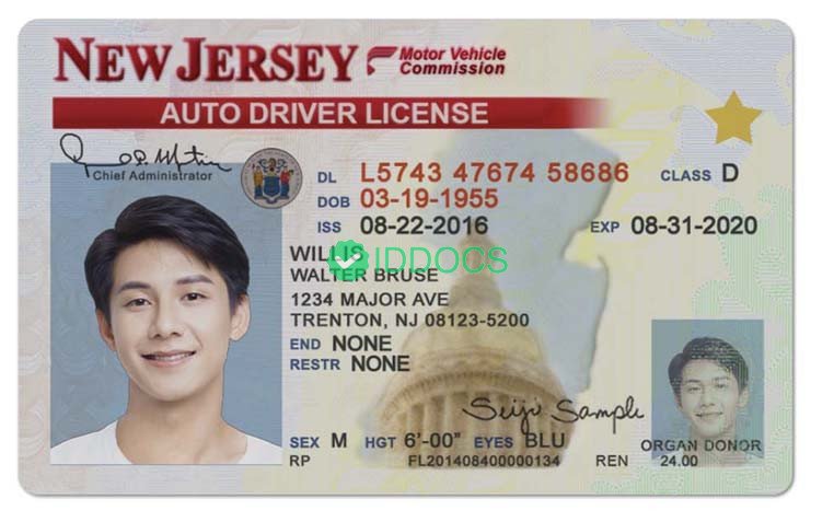 United States New Jersey driver's license