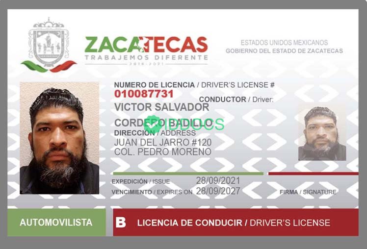 Mexico Driver License (Print Version)