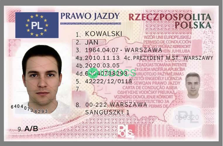 Poland Driver License