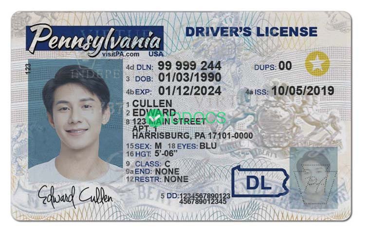 USA Pennsylvania driver's license (NEW)