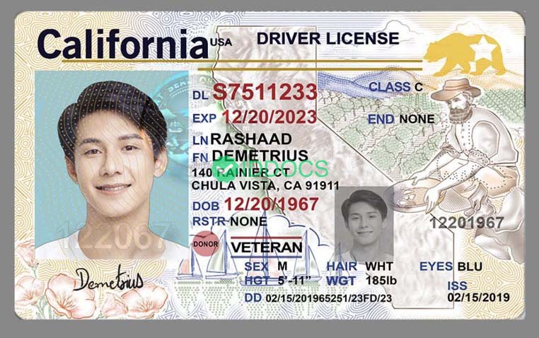 USA California driver's license (V4 version)