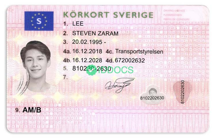 Sweden driver's license