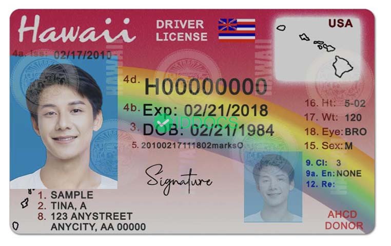 USA Hawaii Driver License