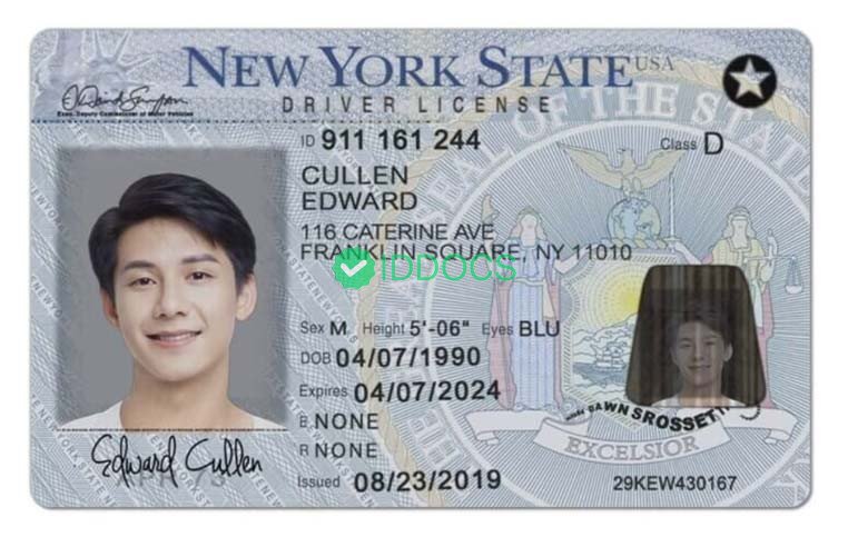 USA New York New Driver's License