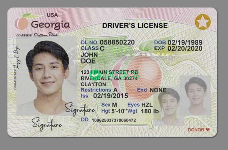 USA Georgia driver's license