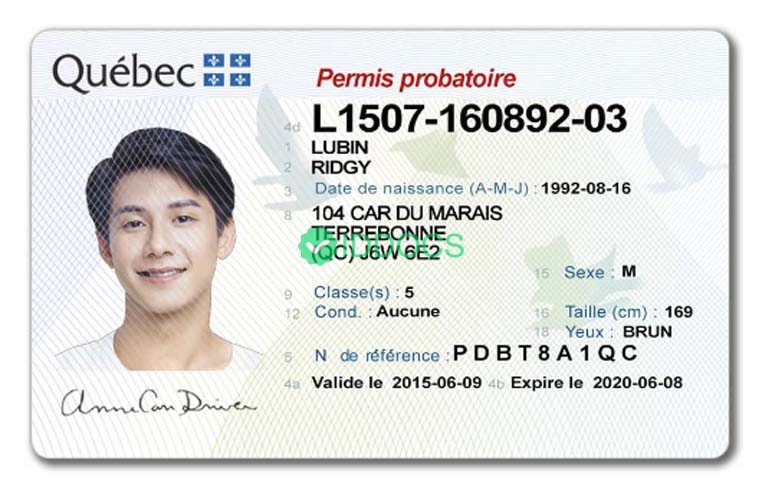 Canada Quebec Driver's license