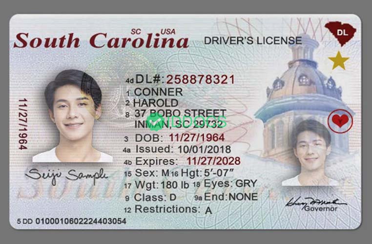 USA South Carolina driver's license