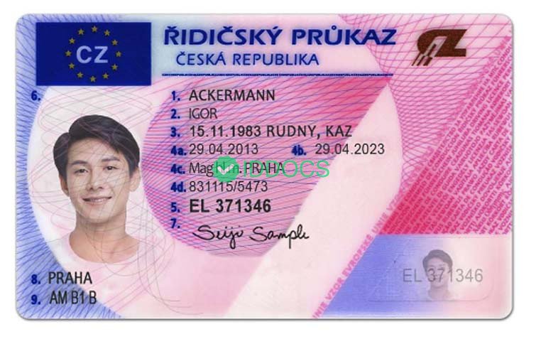 Czech driver's license