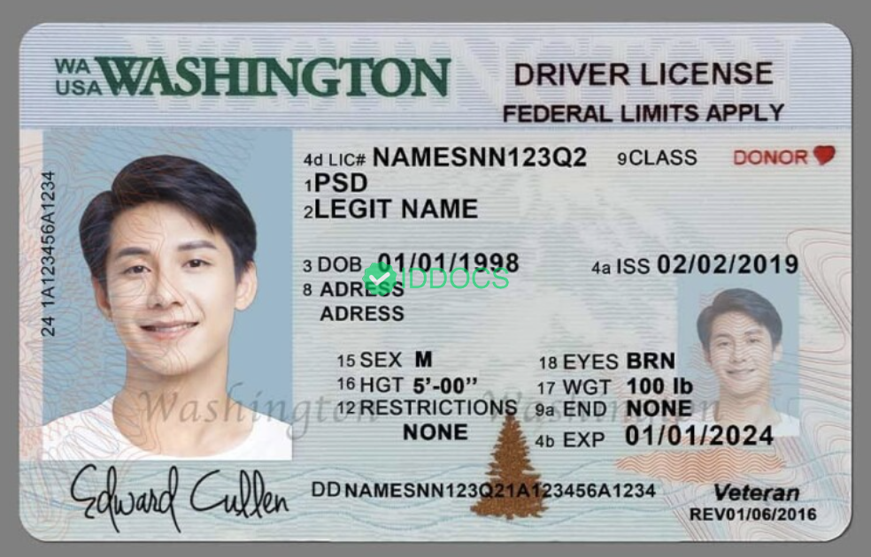 USA Washington State driver's license