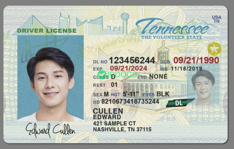 USA Tennessee DL new driver's license/driver's license high-quality PSD template/Photoshop/PS